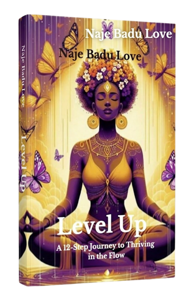 Level Up! book cover