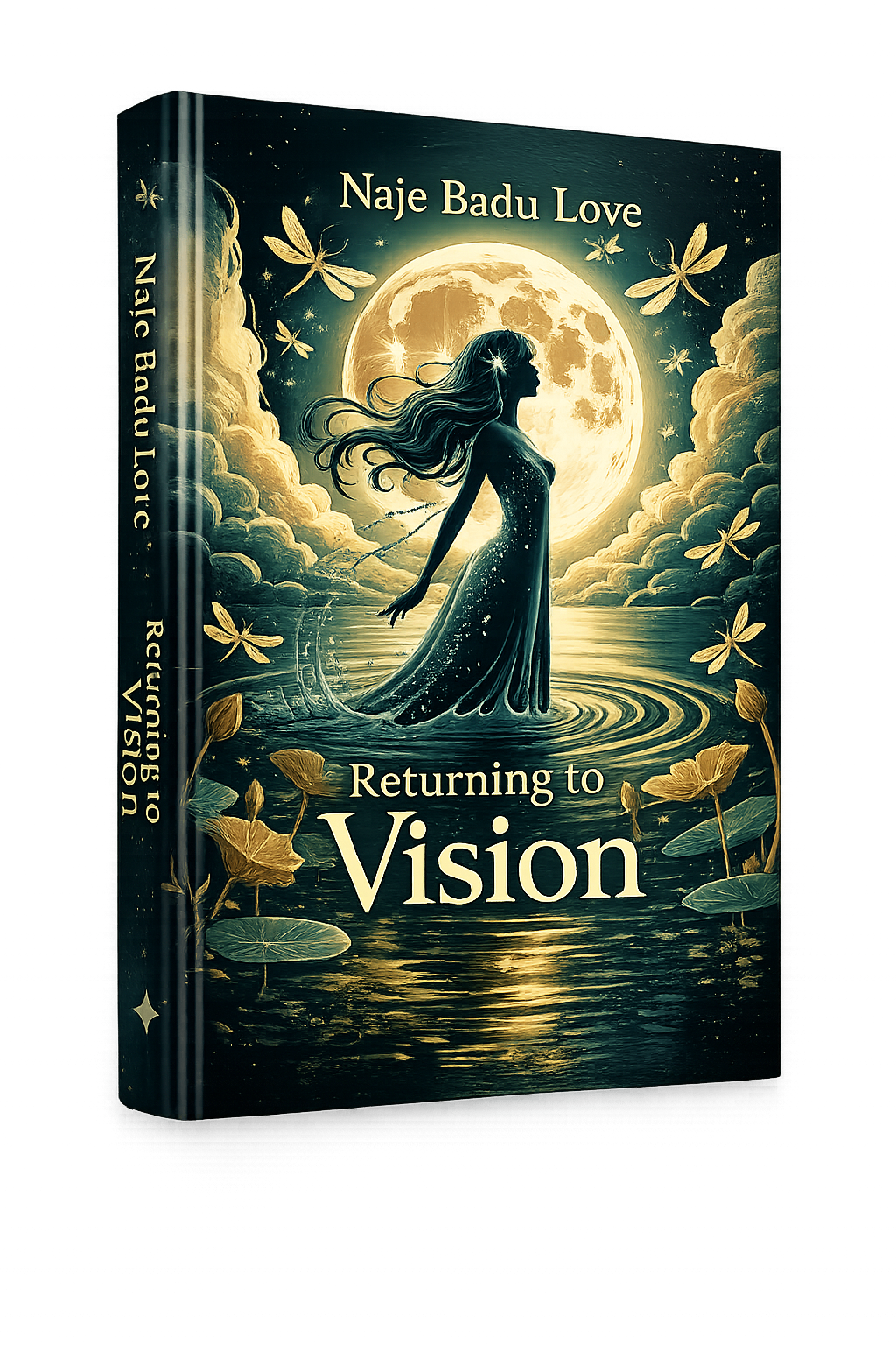 Returning to Vision cover